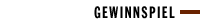 GEWINNSPIEL